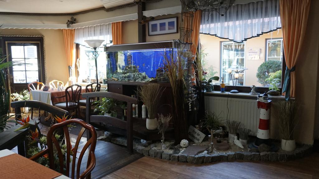 Hotel Garni Am Deich Zingst Exteriér fotografie
