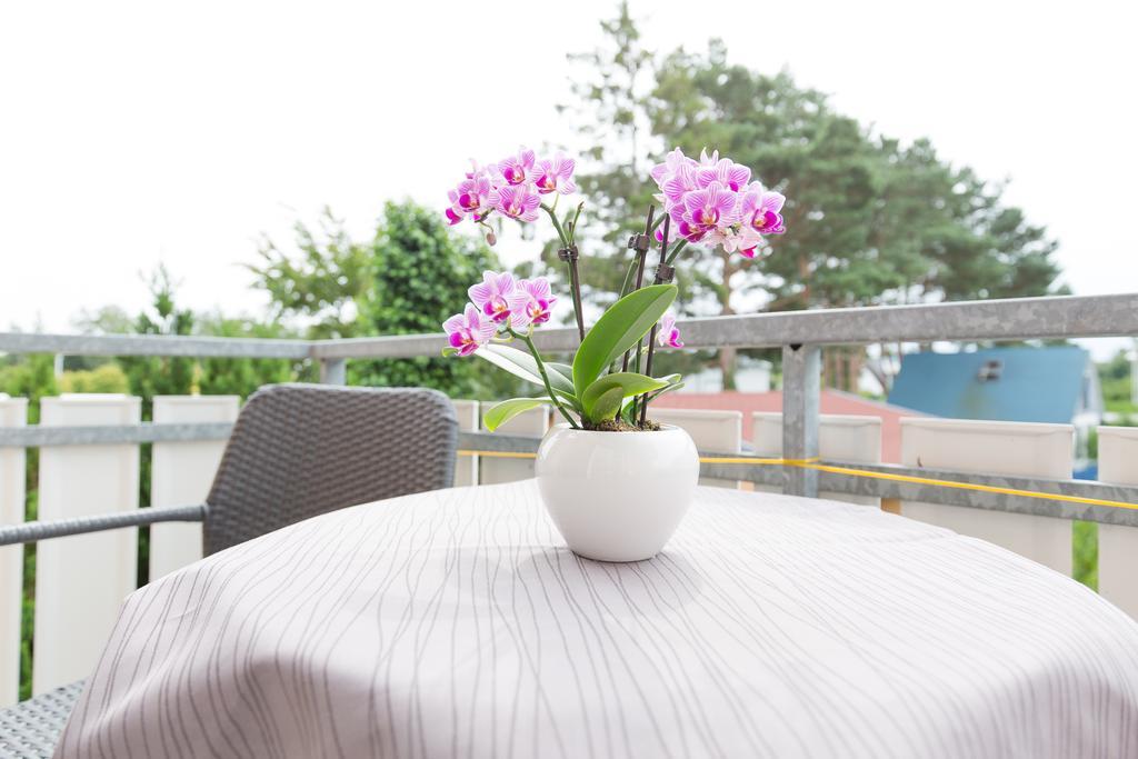Hotel Garni Am Deich Zingst Pokoj fotografie
