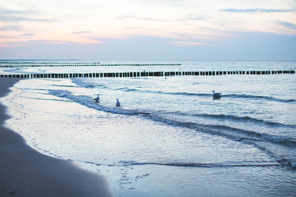 Hotel Garni Am Deich Zingst Exteriér fotografie